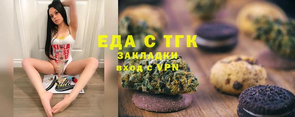 мдпв Вяземский