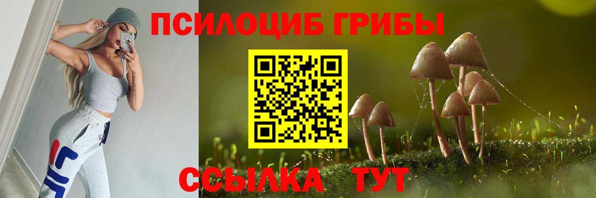 Лесозаводск  Галлюциногенные грибы Magic Shrooms  Вход с VPN 